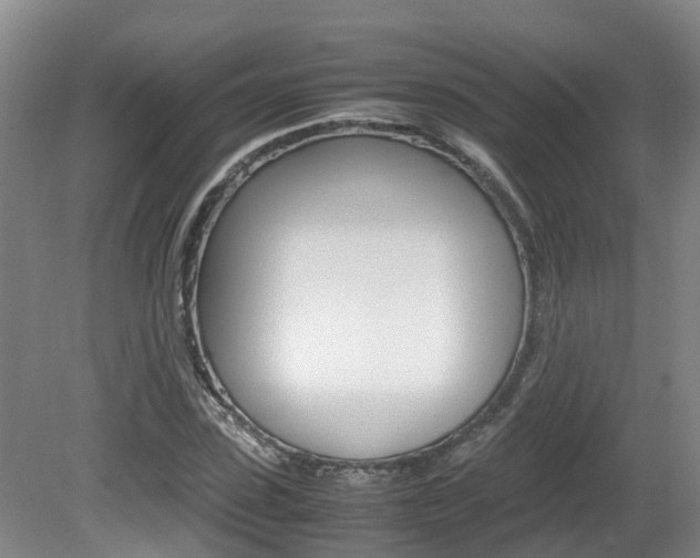 X0000081610923200701151116