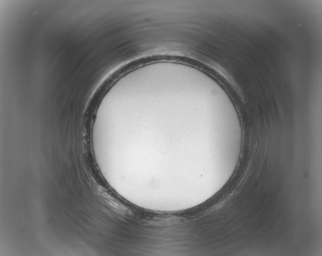X0000081610926200701151116
