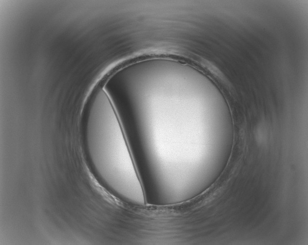 X0000081610934200701151116