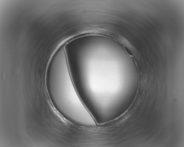 X0000081610940200701151116