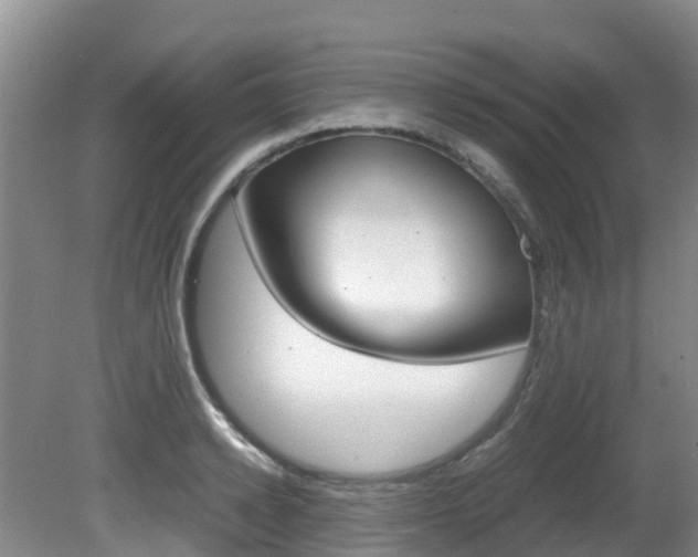 X0000081610942200701151116