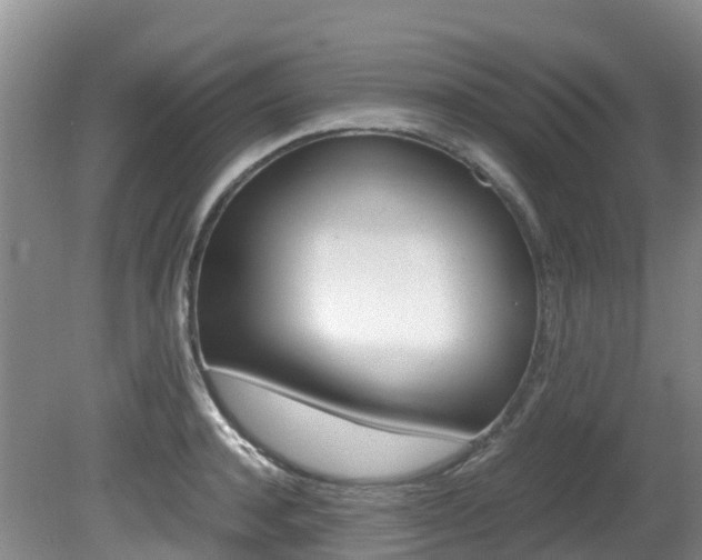 X0000081610944200701151116