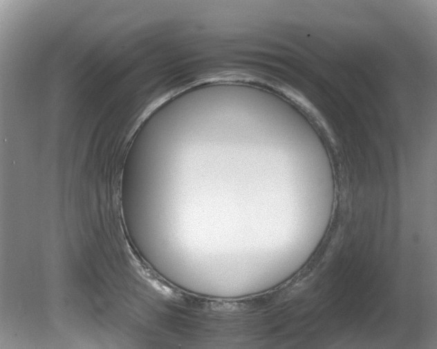 X0000081610945200701151116
