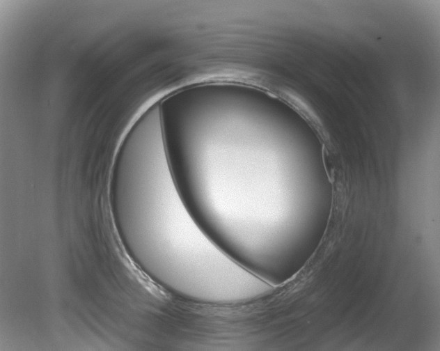 X0000081610948200701151116