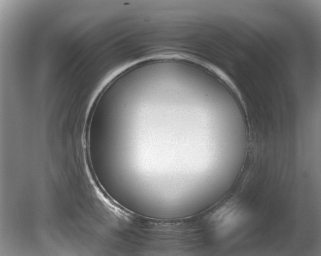 X0000081610951200701151116