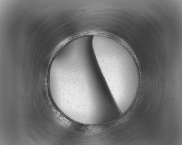 X0000081610954200701151116