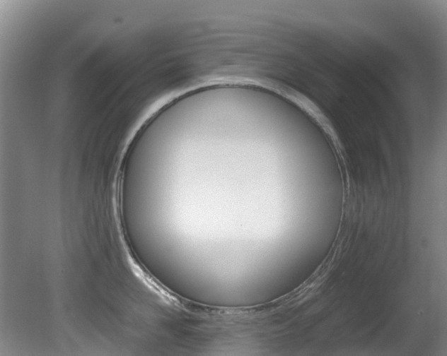 X0000081610958200701151117