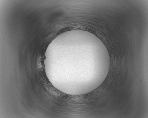 X0000081610962200701151116
