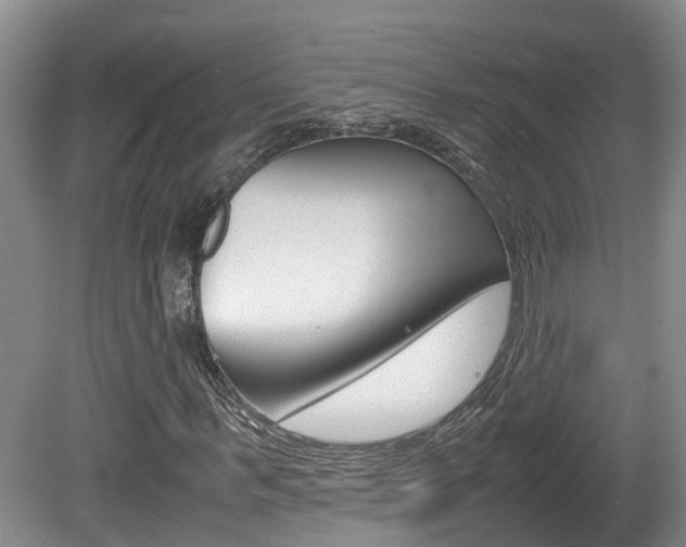 X0000081610963200701151116