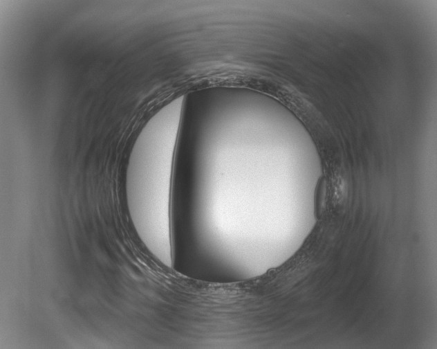X0000081610964200701151116