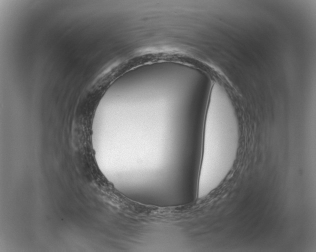 X0000081610967200701151116
