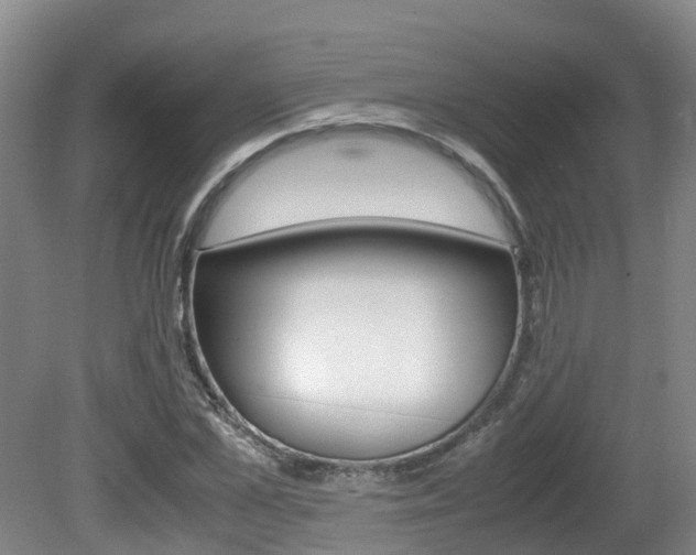 X0000081610973200701151116