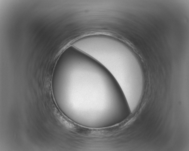 X0000081610985200701151115