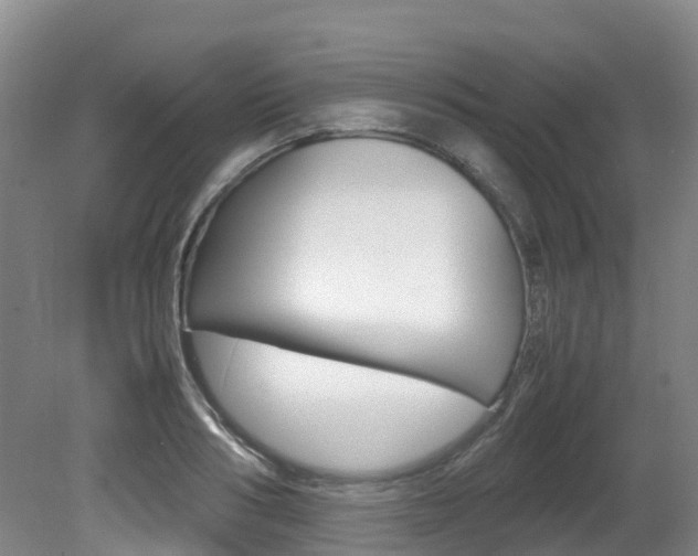 X0000081610986200701151115