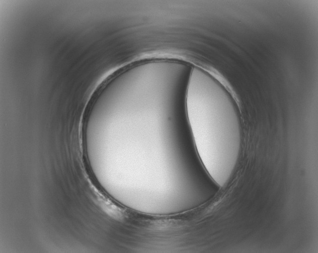 X0000081610988200701151115