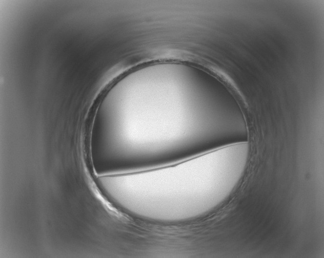 X0000081610991200701151115