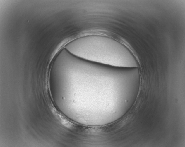 X0000081610994200701151115