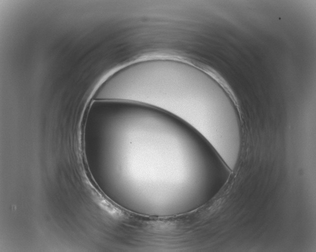 X0000081610996200701151115