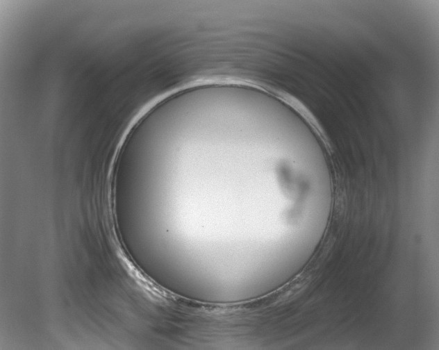 X0000081611004200701151115