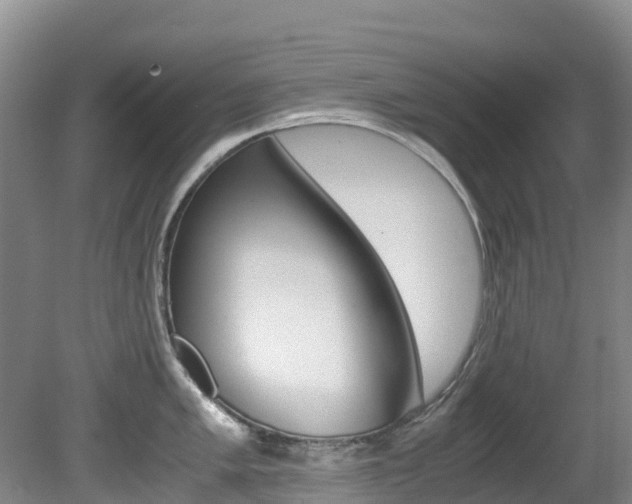 X0000081611005200701151115