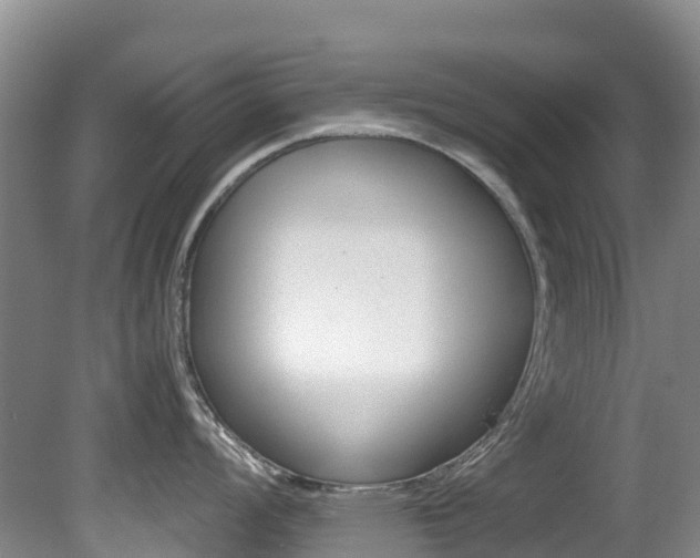 X0000081611008200701151115