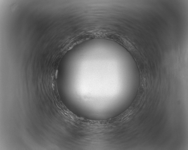 X0000081611010200701151114