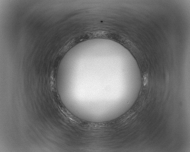 X0000081611011200701151114