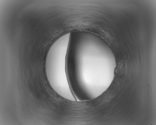 X0000081611012200701151114