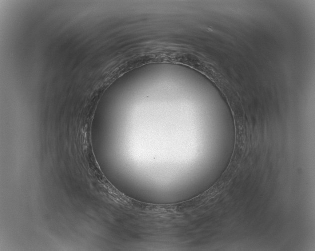 X0000081611013200701151114