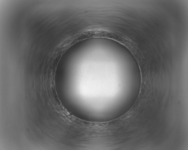 X0000081611014200701151114