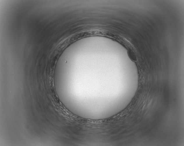 X0000081611015200701151114