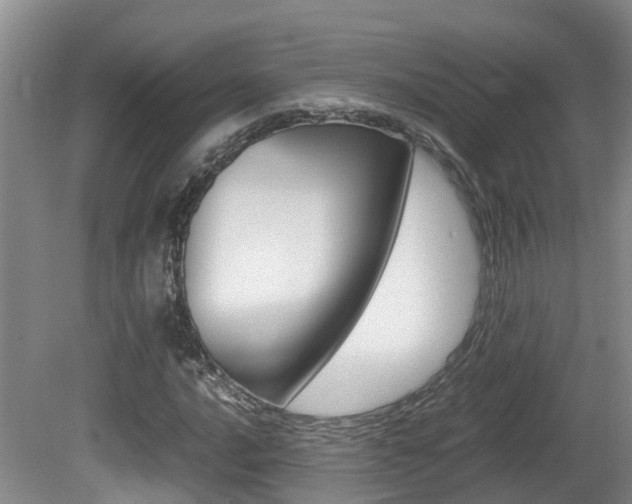 X0000081611016200701151114