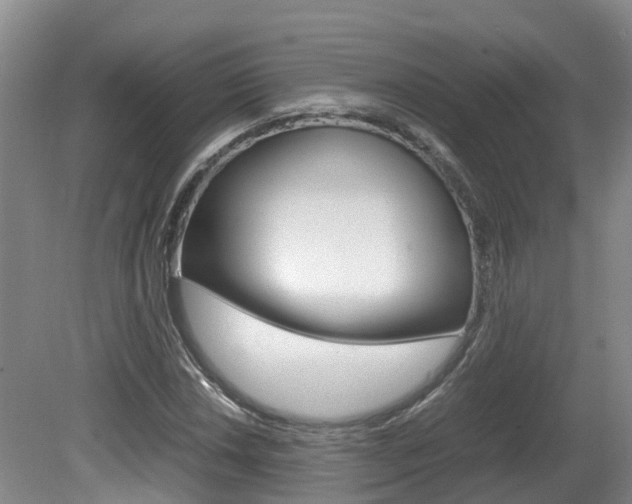 X0000081611018200701151114