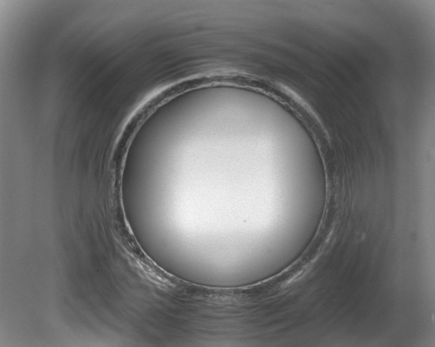 X0000081611021200701151114