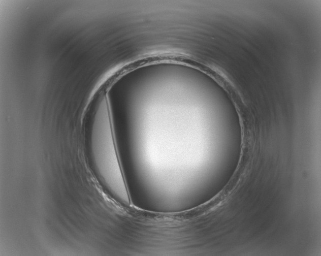 X0000081611022200701151114