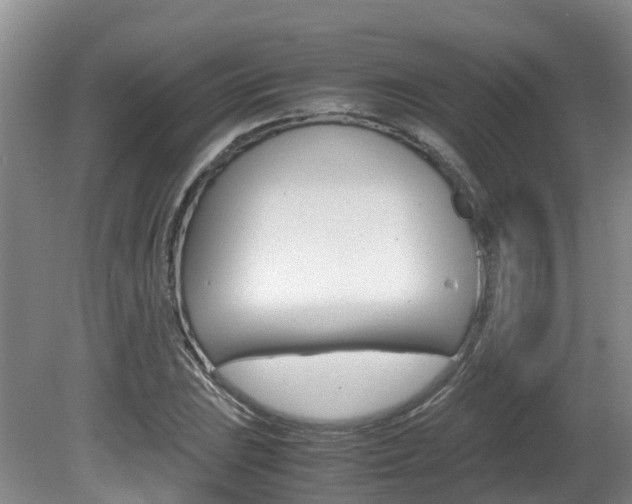 X0000081611023200701151114