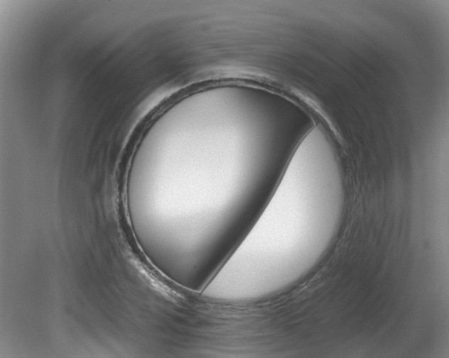 X0000081611024200701151114