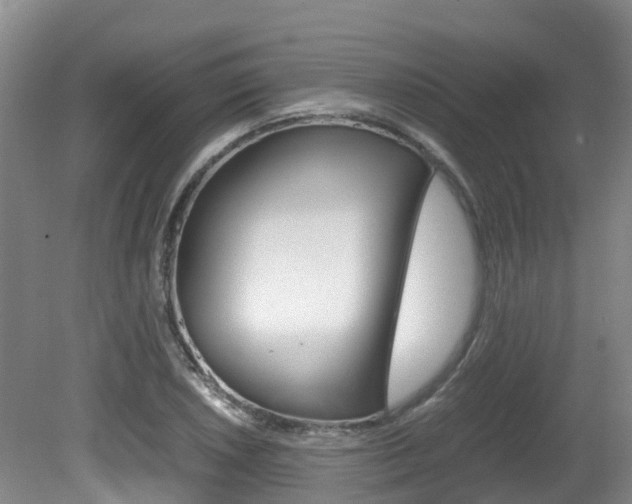 X0000081611026200701151114