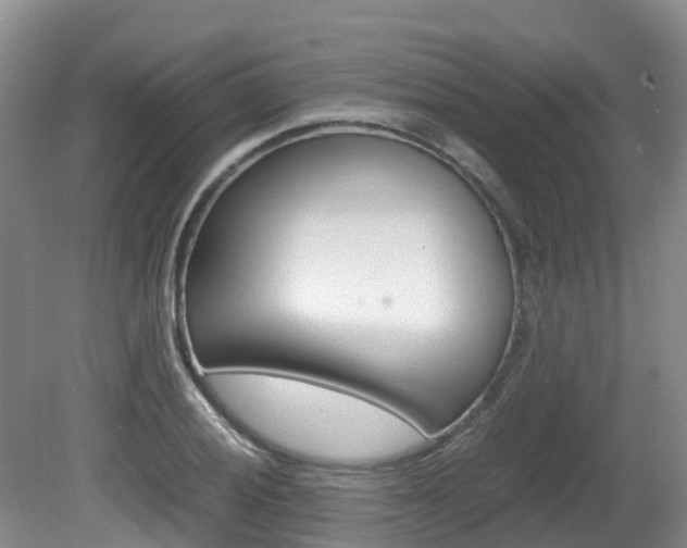 X0000081611028200701151114