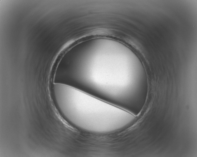 X0000081611029200701151114