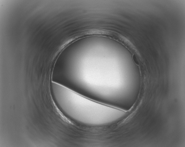 X0000081611033200701151115