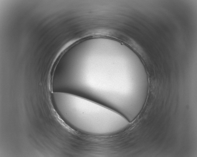 X0000081611036200701151115
