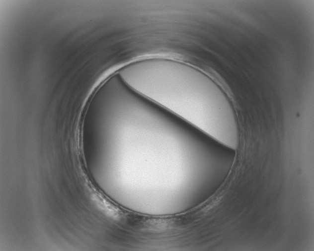X0000081611044200701151115