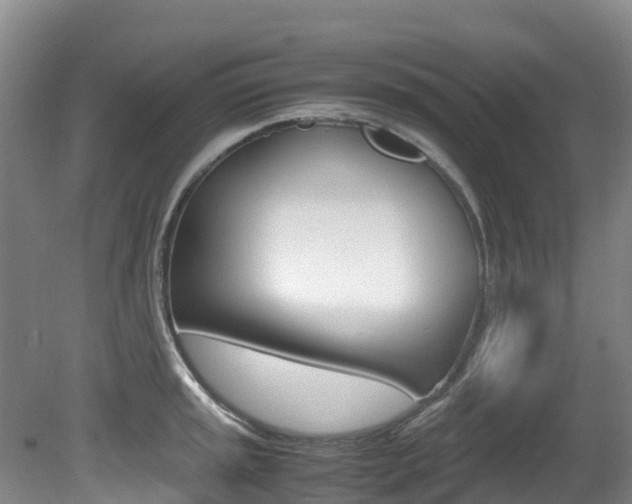 X0000081611045200701151115