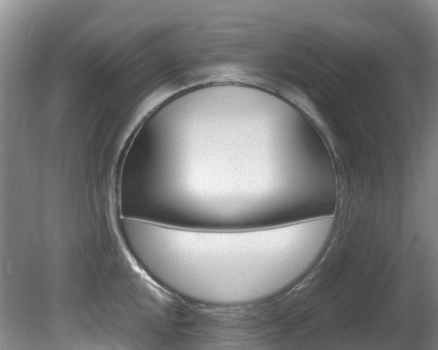 X0000081611048200701151115