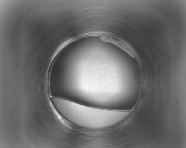 X0000081611050200701151115