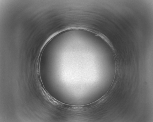 X0000081611052200701151115