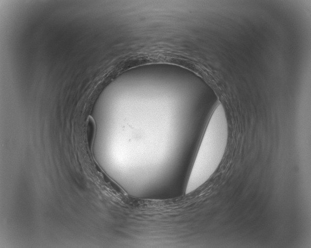 X0000081611057200701151114