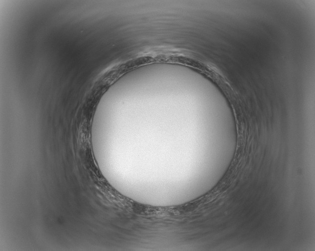 X0000081611063200701151114