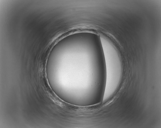 X0000081611065200701151114